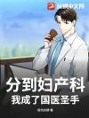 分到妇产科?我成了国医圣手